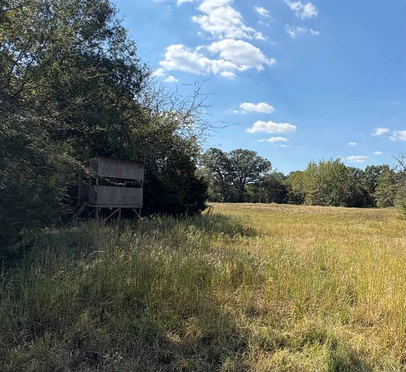 1094 Southwest Sw Cr Saltillo, TX 75478 - Photo 32 of 39 a view of a yard