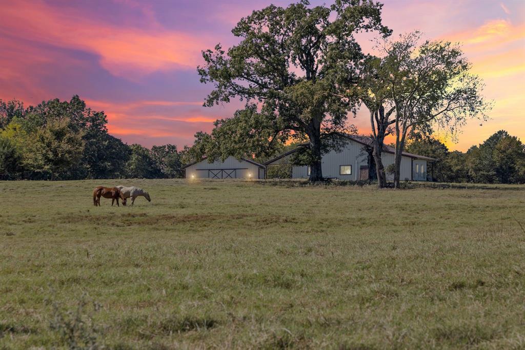 1094 Southwest Sw Cr Saltillo, TX 75478 - Photo 39 of 39 a view of a field with tree in the background
