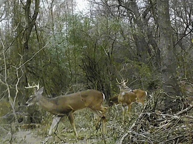 view of outdoor space and garden