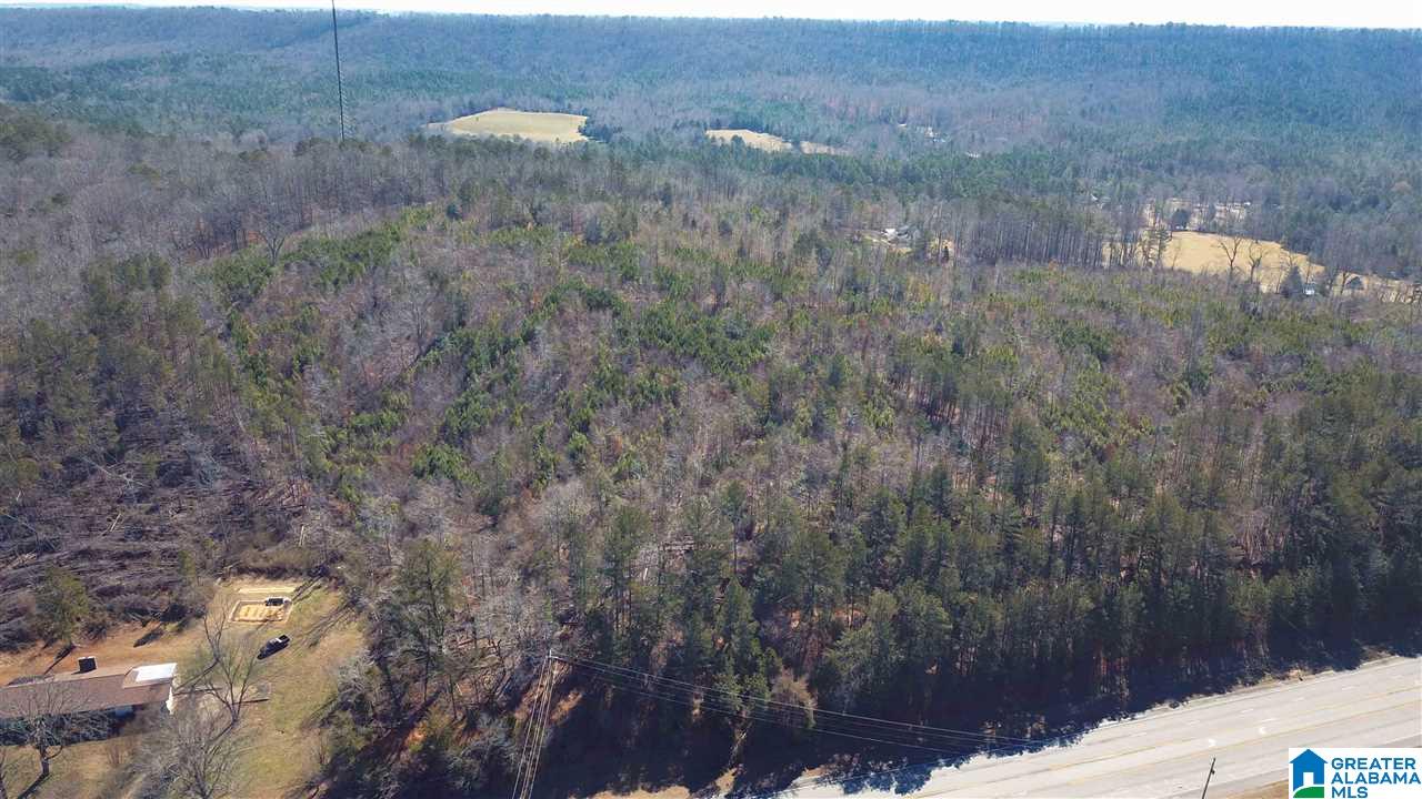 0 Highway 75, Unit 29 38 Oneonta, AL 35121 - Photo 13 of 30