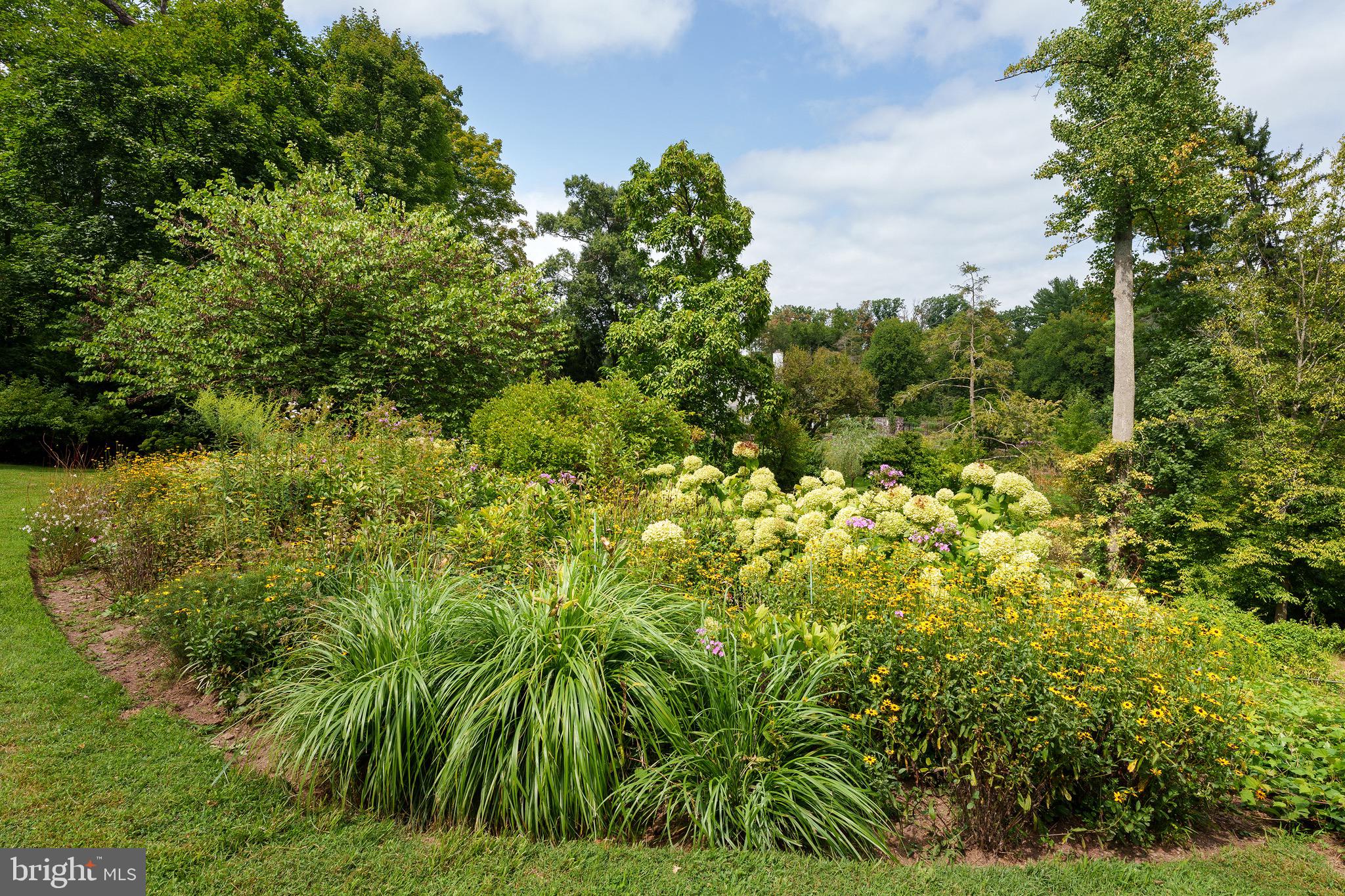 21 Russell Road Princeton, NJ 08540 - Photo 41 of 50 a view of a garden