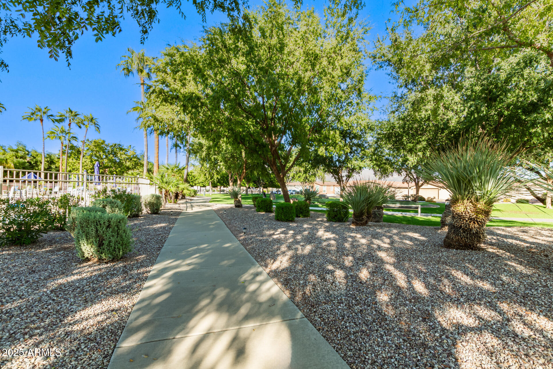3301 South Goldfield Road, Unit 2097 Apache Junction, AZ 85119 - Photo 35 of 40