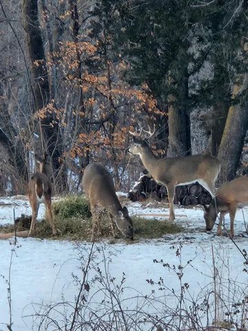 $374,900 | 52765 Belgrade Township 191, North Mankato, MN 56003