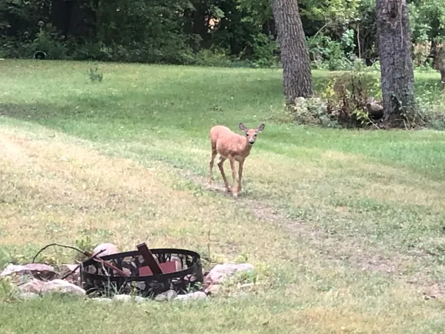 $374,900 | 52765 Belgrade Township 191, North Mankato, MN 56003