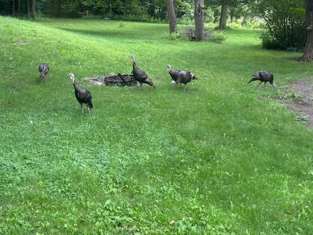 $374,900 | 52765 Belgrade Township 191, North Mankato, MN 56003