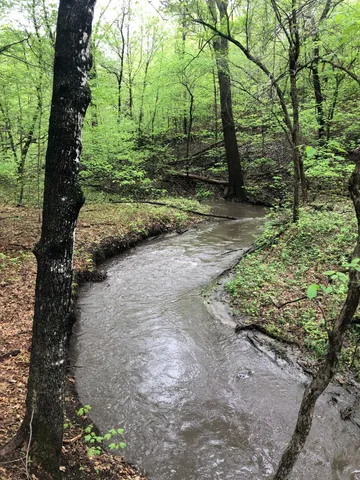 $374,900 | 52765 Belgrade Township 191, North Mankato, MN 56003