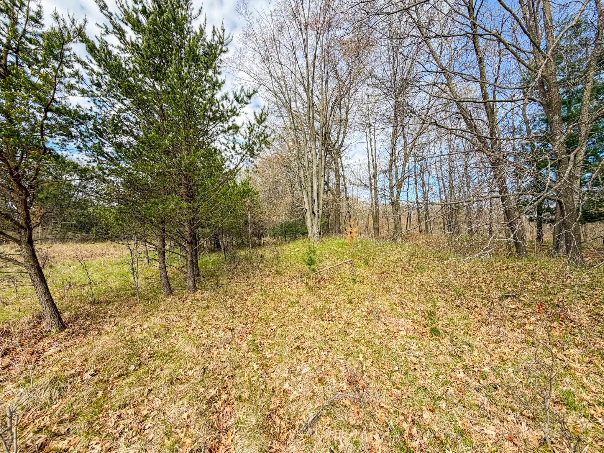 0 County Rd C New Lisbon, WI 53950 - Photo 26 of 90 Gallery Image 26