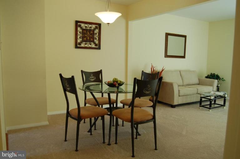10 Ritters Ridge Court, Unit 10 Owings Mills, MD 21117 - Photo 7 of 15 Living Room/Dining Room
