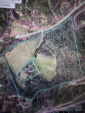 a outdoor space with lots of plants