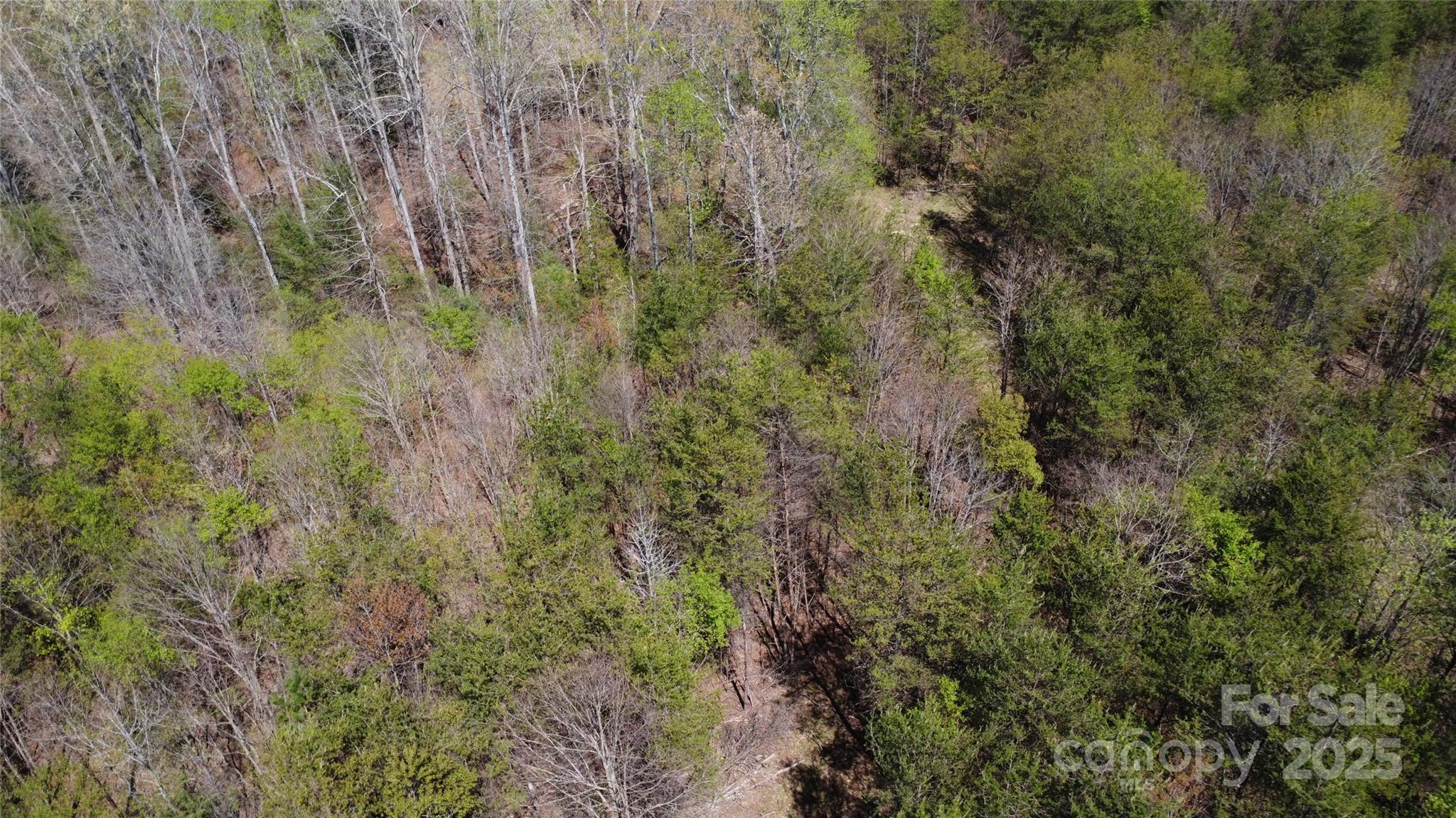 0 Snowhill Church Road Morganton, NC 28655 - Photo 19 of 40
