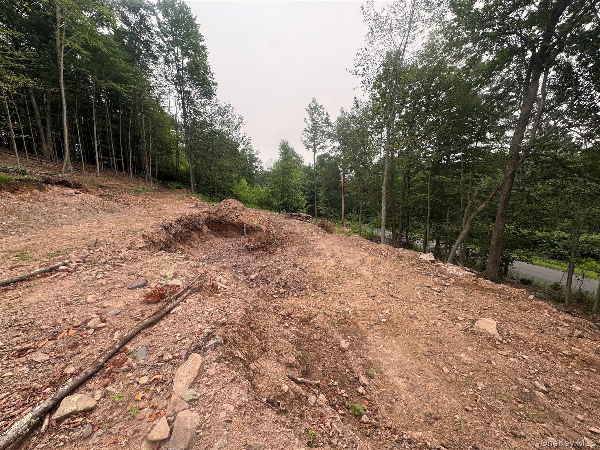 Rapp Road Monticello, NY 12701 - Photo 10 of 10 site