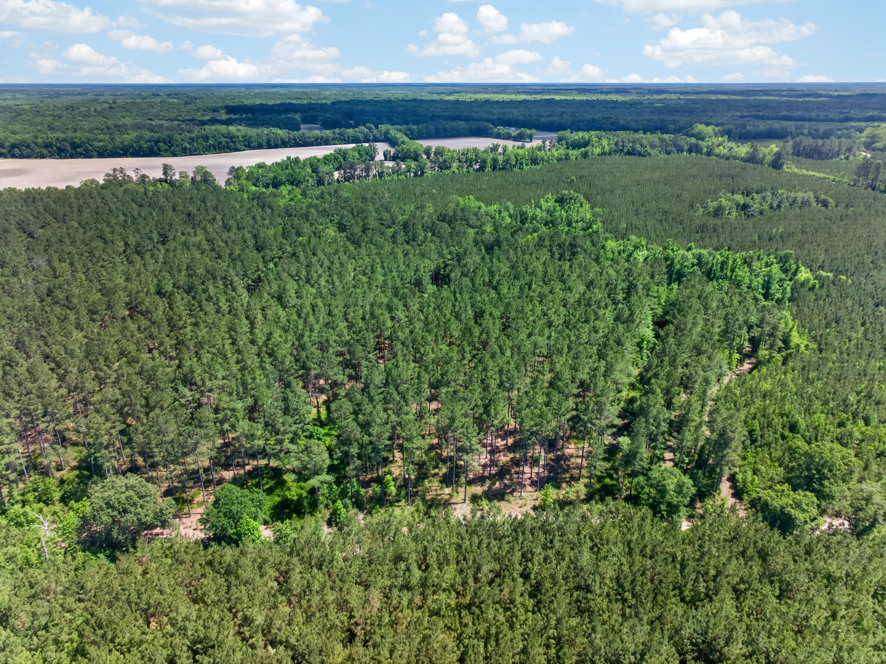 5120 North Brewington Road, Unit 10 Alcolu, SC 29001 - Photo 26 of 40 DJI_20260521140705_0097_D