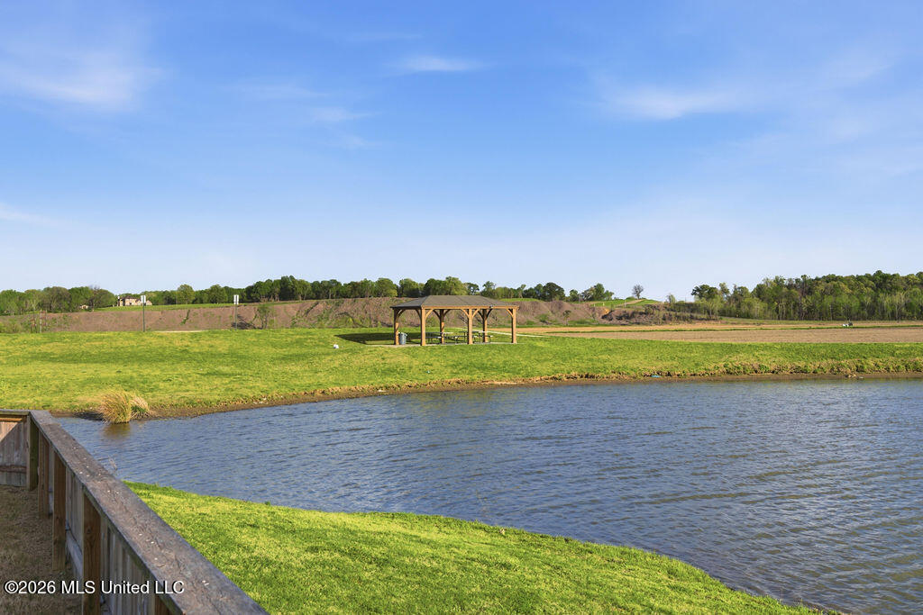 9115 Lakeside Circle South Walls, MS 38680 - Photo 18 of 18 Pond with Fish/picnic area