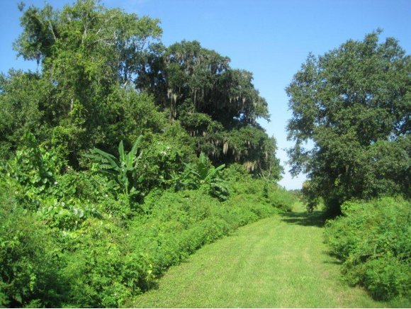 350 South Carpenter Road Titusville, FL 32796 - Photo 12 of 12 Additional Photo
