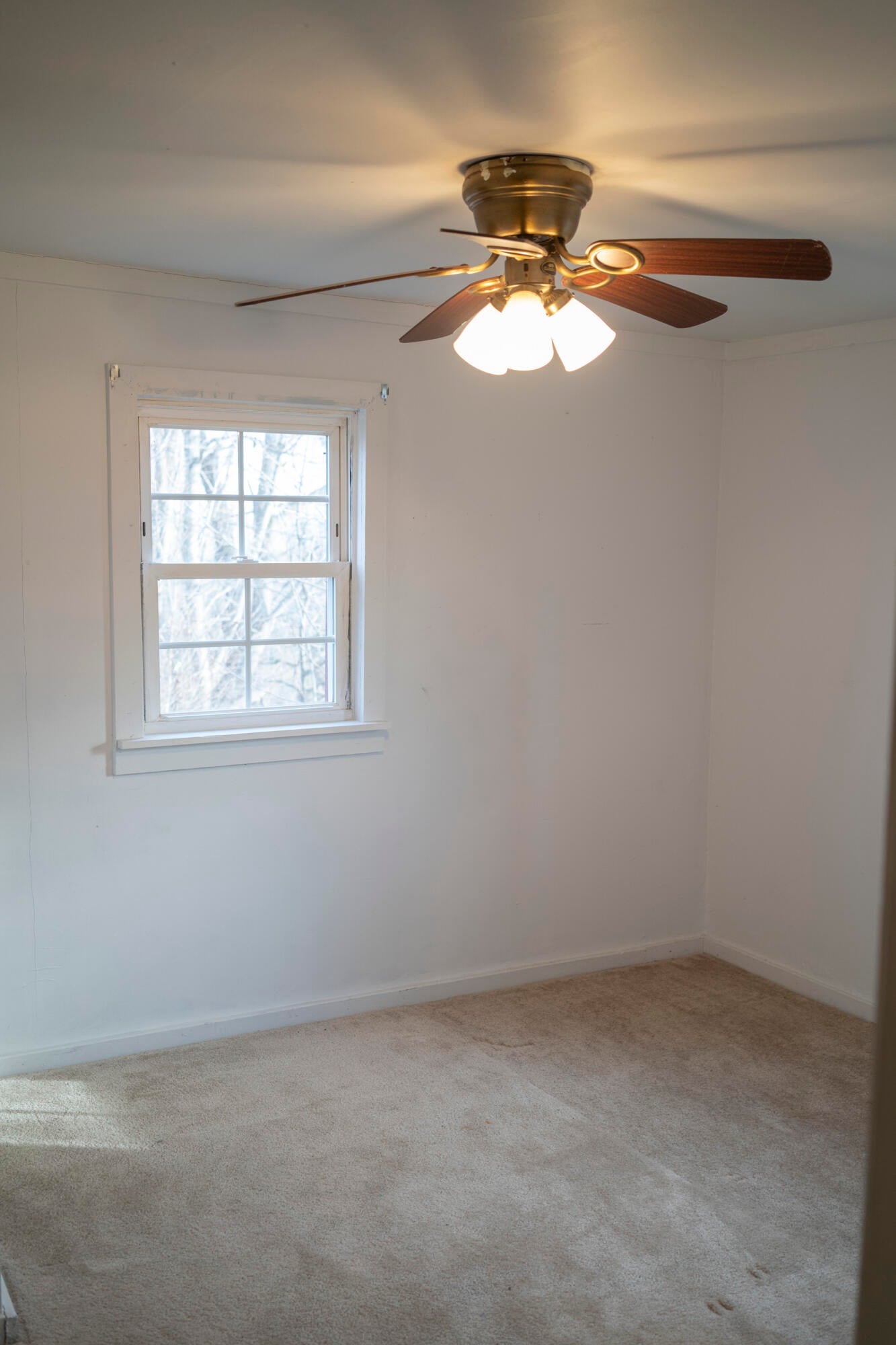 3866 Elk Knob Road Hinton, WV 25951 - Photo 16 of 43 Gallery Image 16