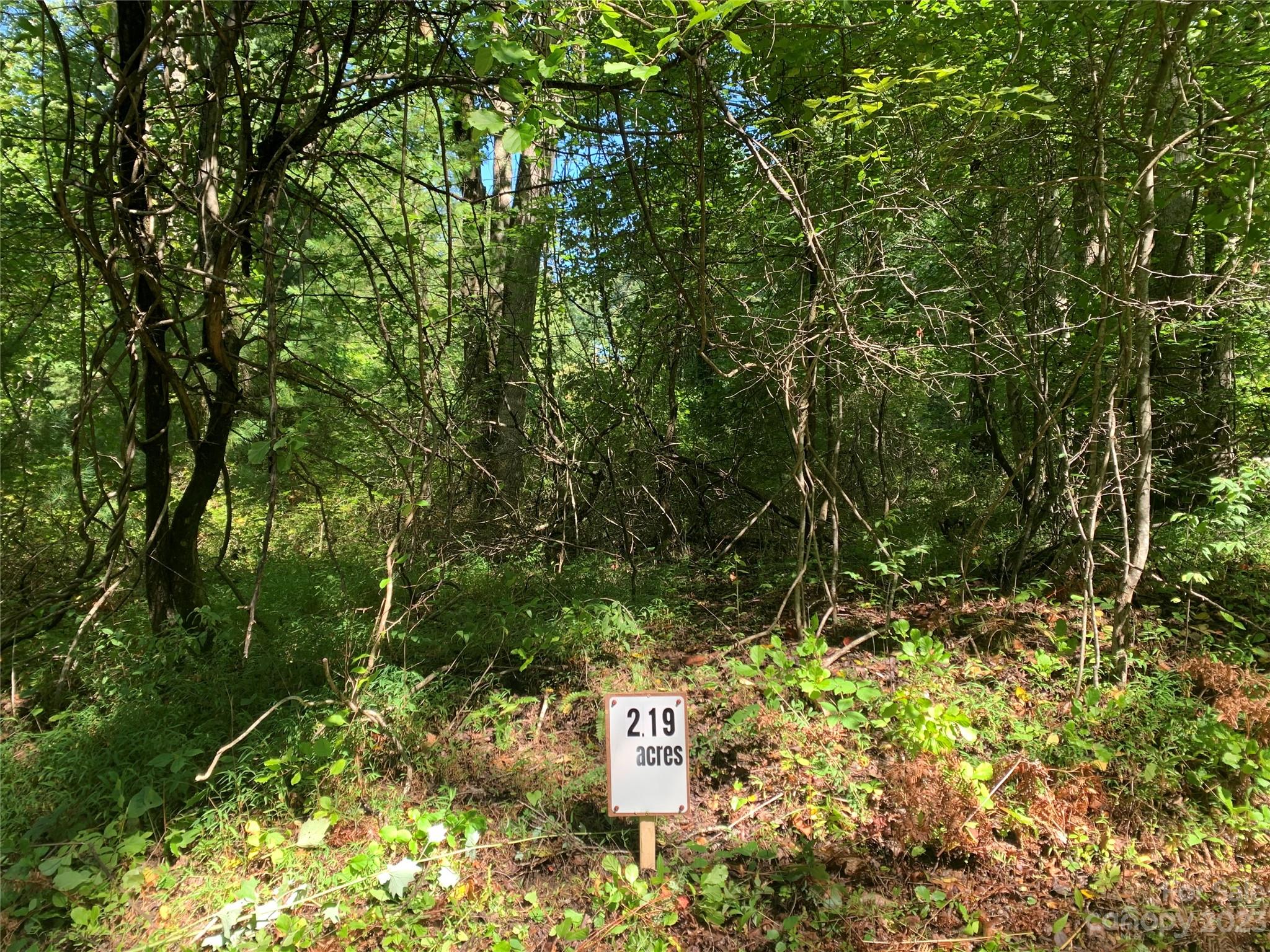 a street sign that is on a tree