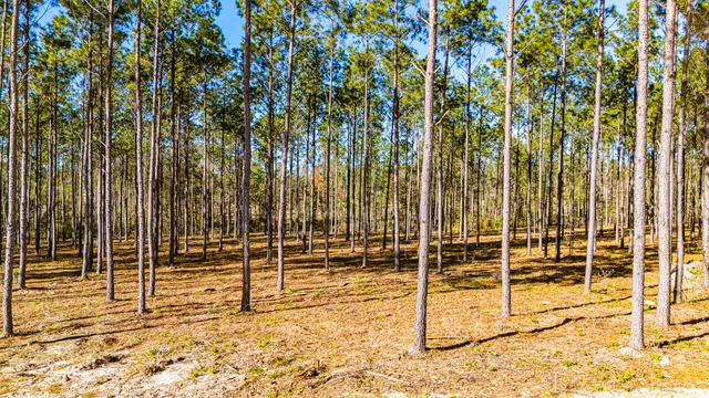 $149,900 | 12 Big Buck Drive, Moscow, TX 75960