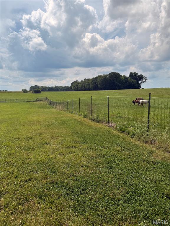 4243 Bushy Prairie Road Waterloo, IL 62298 - Photo 14 of 15