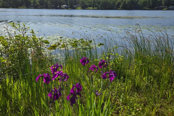 $439,900 | 11159 West Perch Lake Drive, Cement City, MI 49233