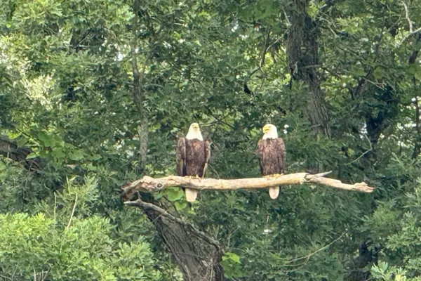 $439,900 | 11159 West Perch Lake Drive, Cement City, MI 49233