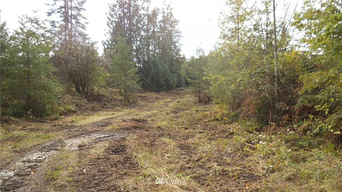 6319 133rd Avenue Southwest Rochester, WA 98579 - Photo 5 of 9