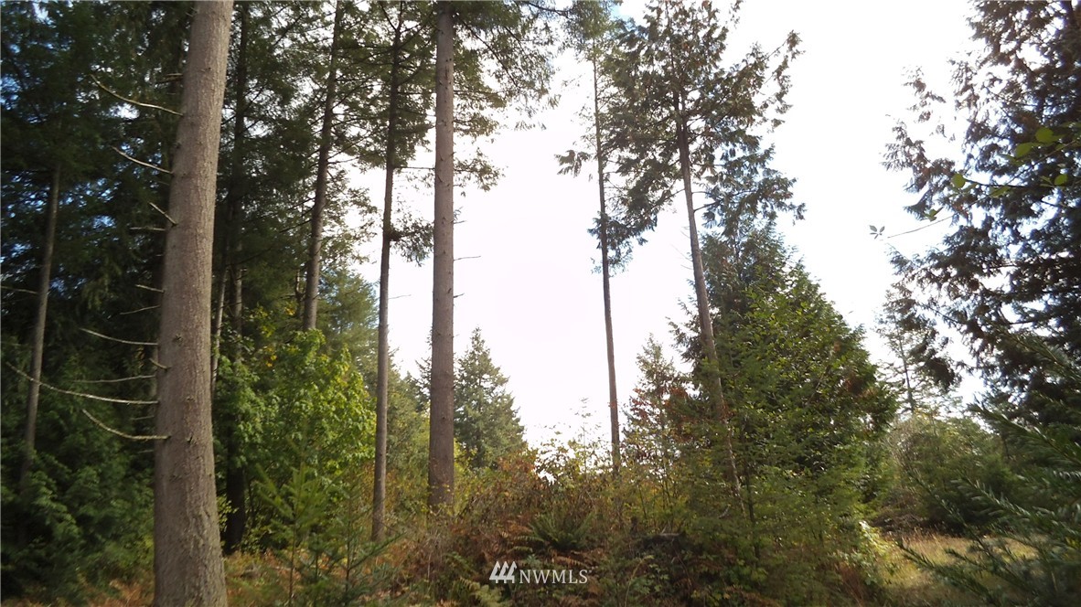 6319 133rd Avenue Southwest Rochester, WA 98579 - Photo 6 of 9