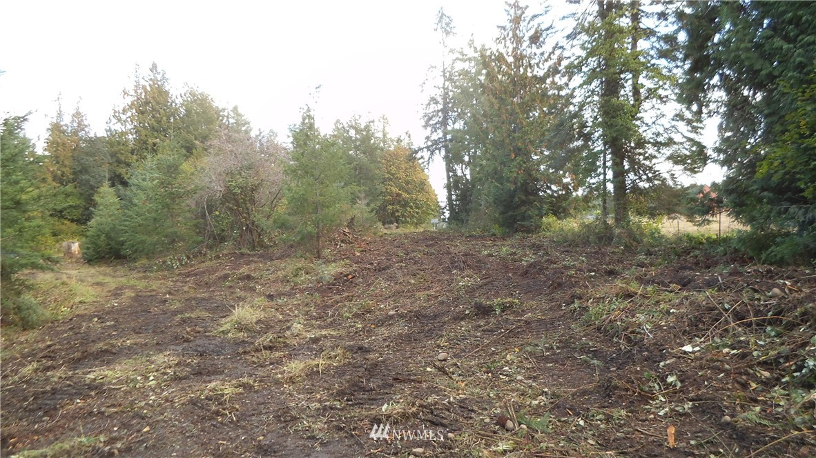 6319 133rd Avenue Southwest Rochester, WA 98579 - Photo 8 of 9