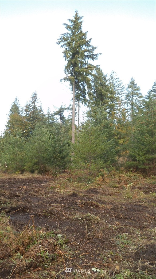 6319 133rd Avenue Southwest Rochester, WA 98579 - Photo 9 of 9