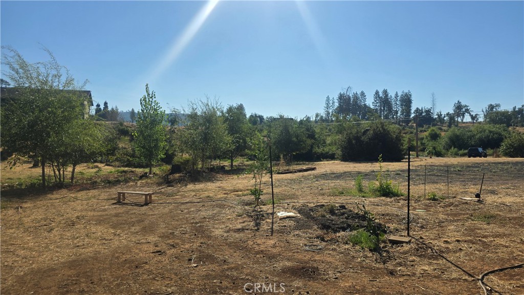 1833 Stark Lane Paradise, CA 95969 - Photo 11 of 28 a view of a park
