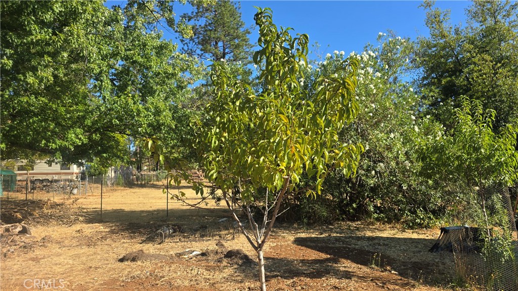 1833 Stark Lane Paradise, CA 95969 - Photo 13 of 28 a view of yard