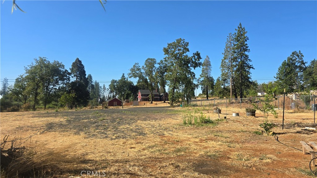 1833 Stark Lane Paradise, CA 95969 - Photo 19 of 28 a view of yard with trees
