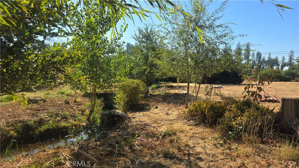1833 Stark Lane Paradise, CA 95969 - Photo 20 of 28 a view of yard covered with green space