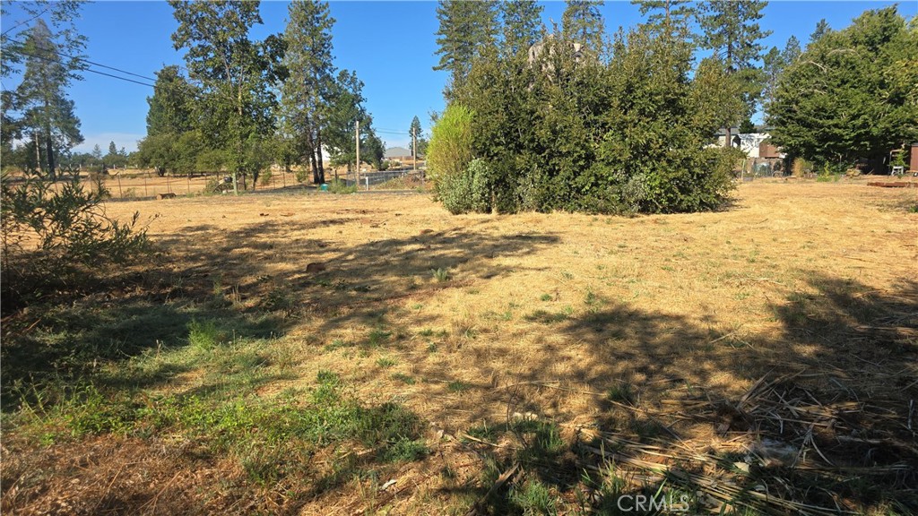 1833 Stark Lane Paradise, CA 95969 - Photo 3 of 28 a view of yard covered with snow