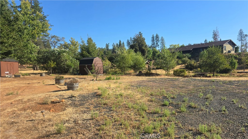 1833 Stark Lane Paradise, CA 95969 - Photo 7 of 28 a view of yard with tree
