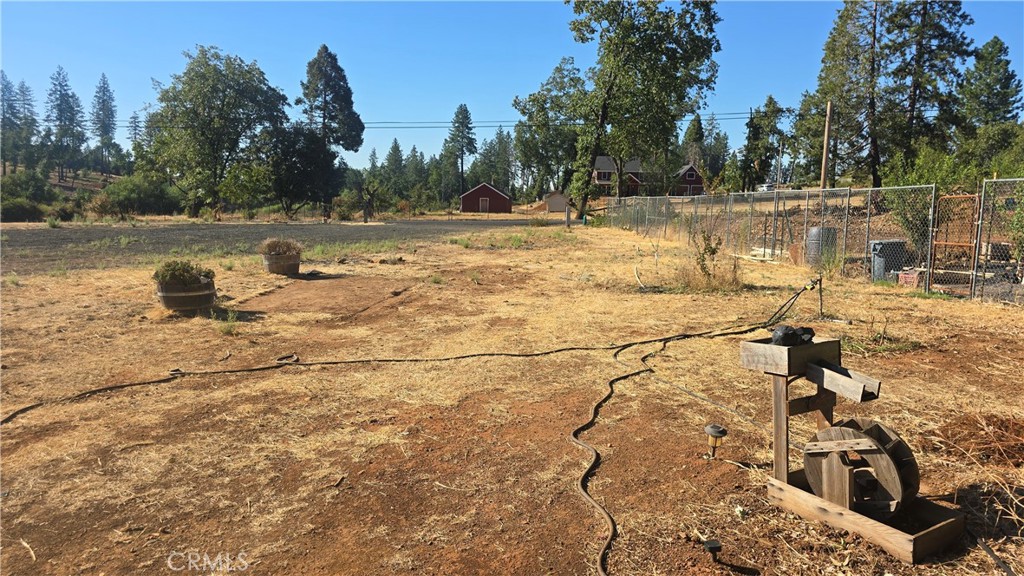 1833 Stark Lane Paradise, CA 95969 - Photo 9 of 28 a view of yard with trees