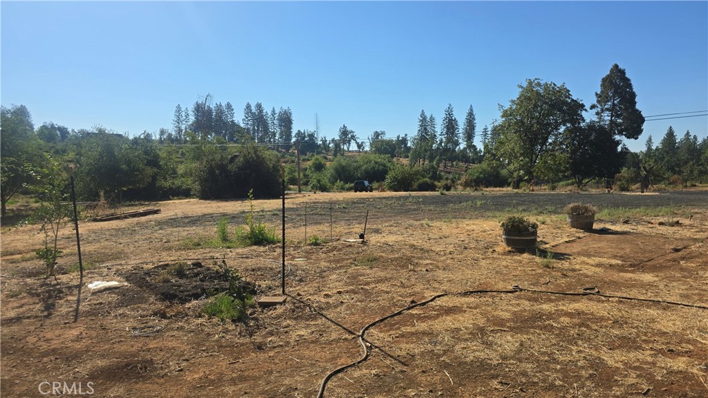 1833 Stark Lane Paradise, CA 95969 - Photo 10 of 28 a view of a dry yard with trees