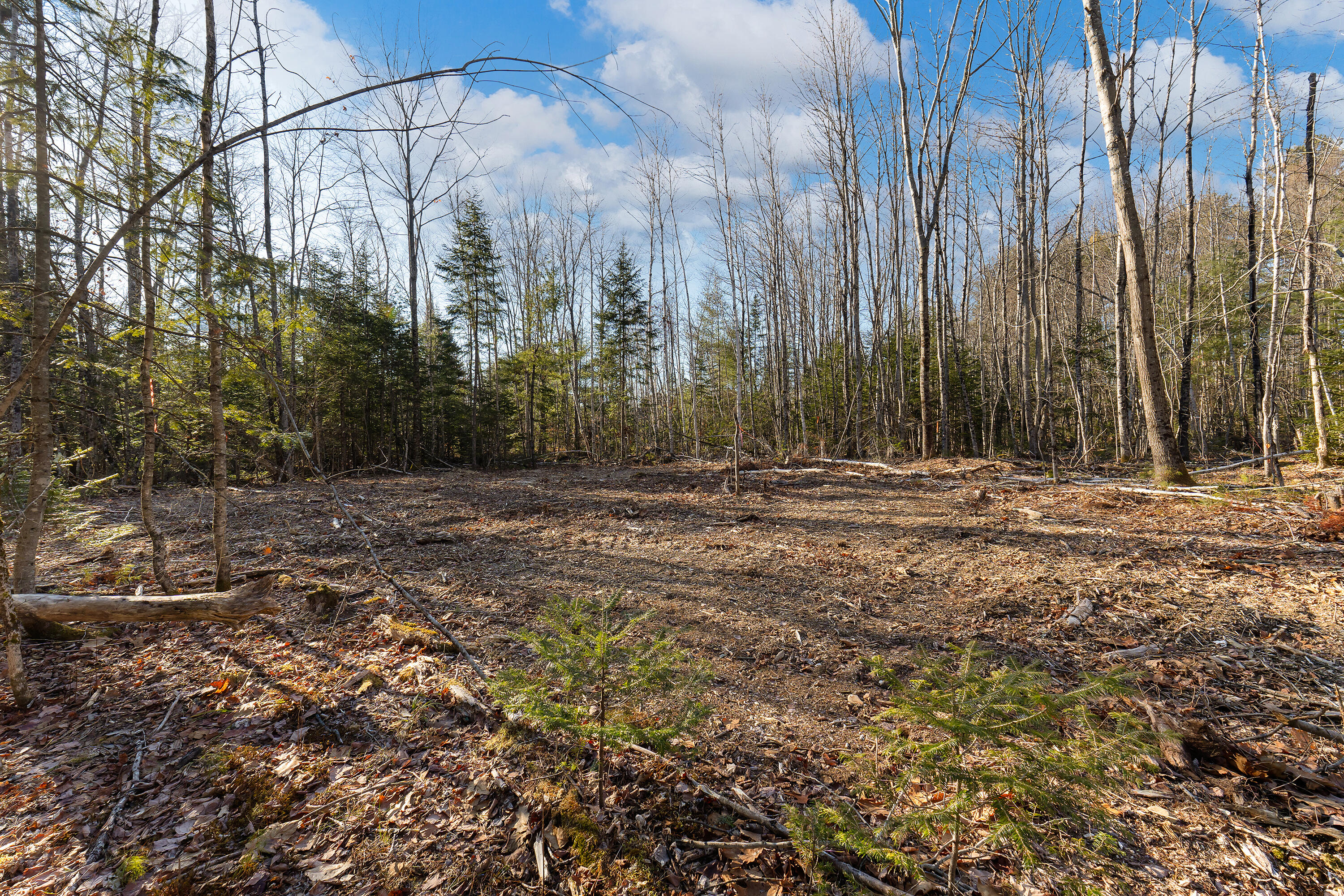 Lot 10 Pine Hill Road Palermo, ME 04354 - Photo 5 of 15 0126 - Lot 10