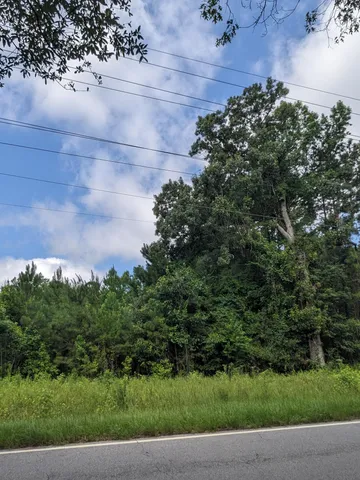 $185,000 | 0 Highway 174 Adams Run, Adams Run, SC 29426