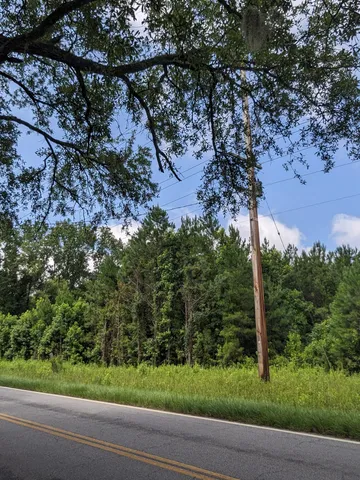 $185,000 | 0 Highway 174 Adams Run, Adams Run, SC 29426