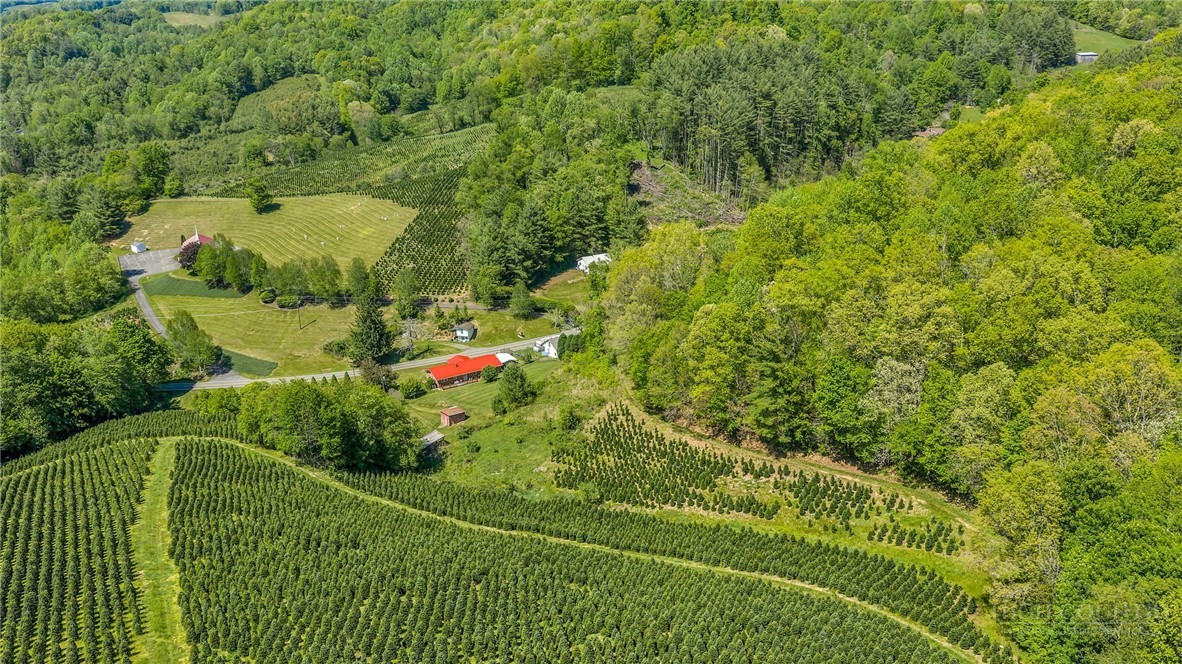 346 Piney Creek Road Lansing, NC 28643 - Photo 22 of 24 a view of a yard