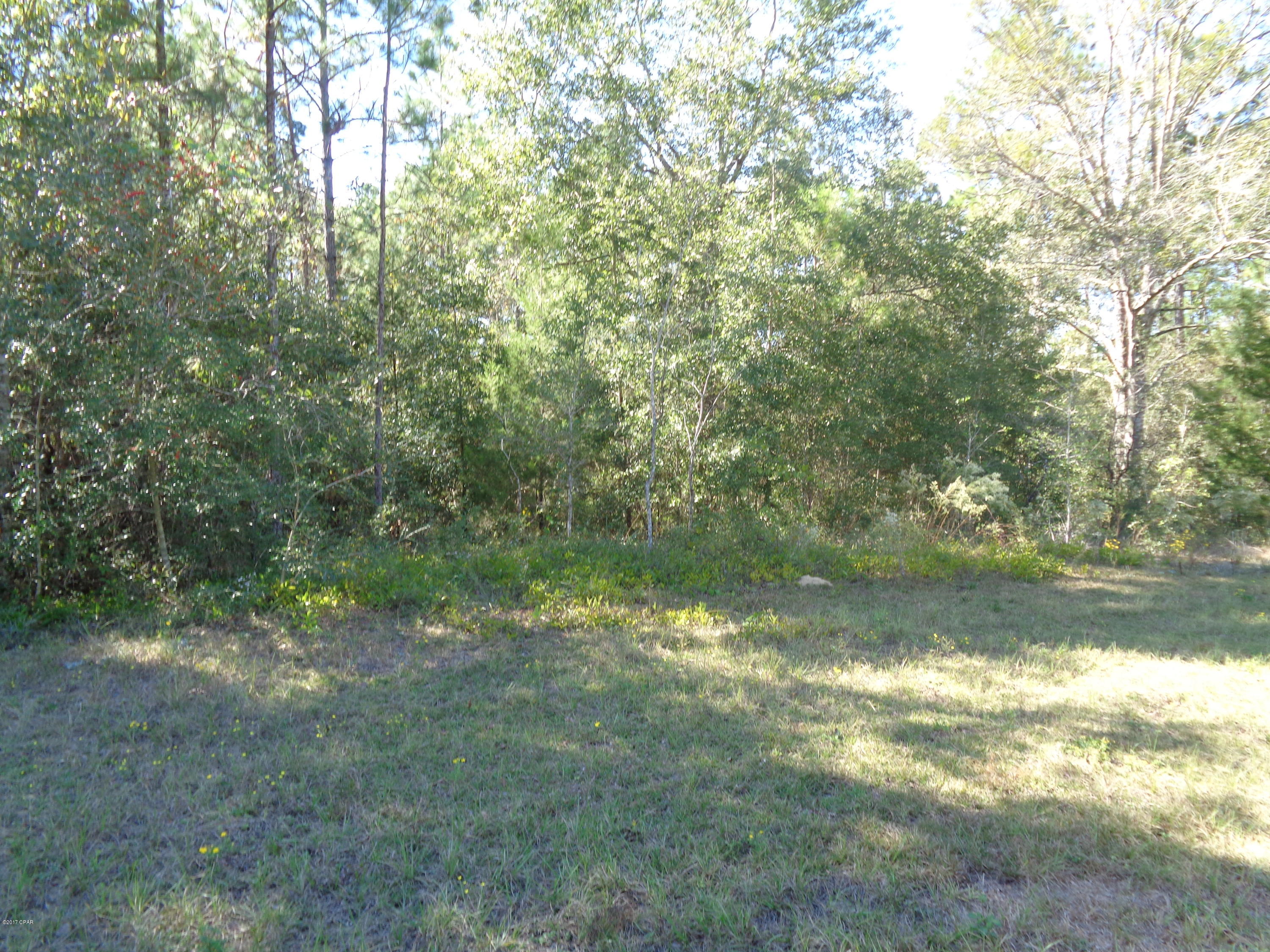 Lot 2 Fairview Road Alford, FL 32420 - Photo 1 of 3 Gallery Image 1
