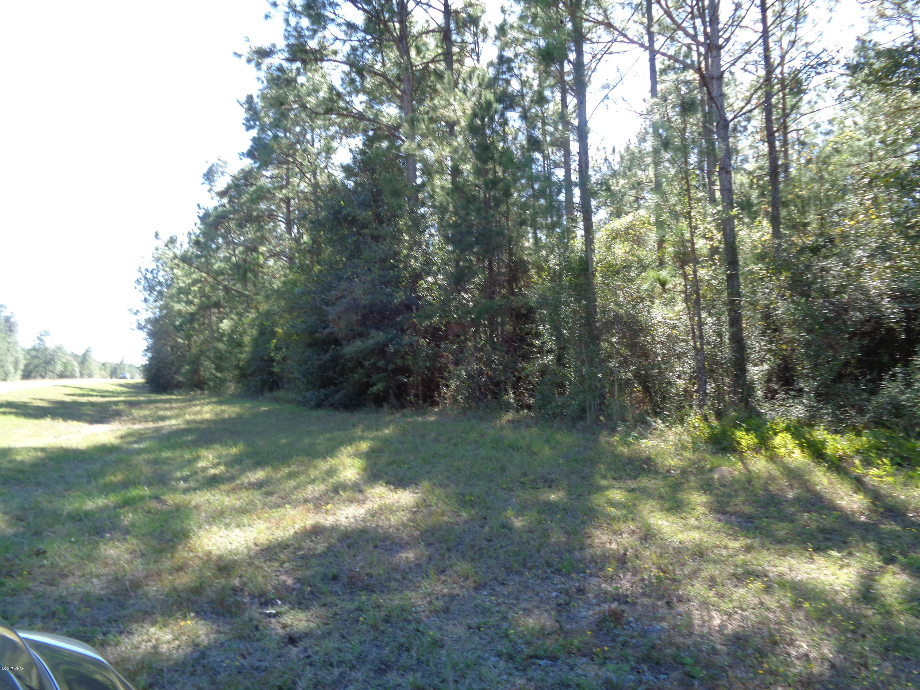 Lot 2 Fairview Road Alford, FL 32420 - Photo 3 of 3 Gallery Image 3