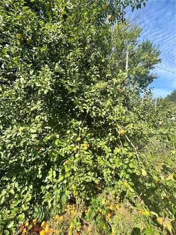 $125,000 | 717 North Houston Street, Adrian, MO 64720