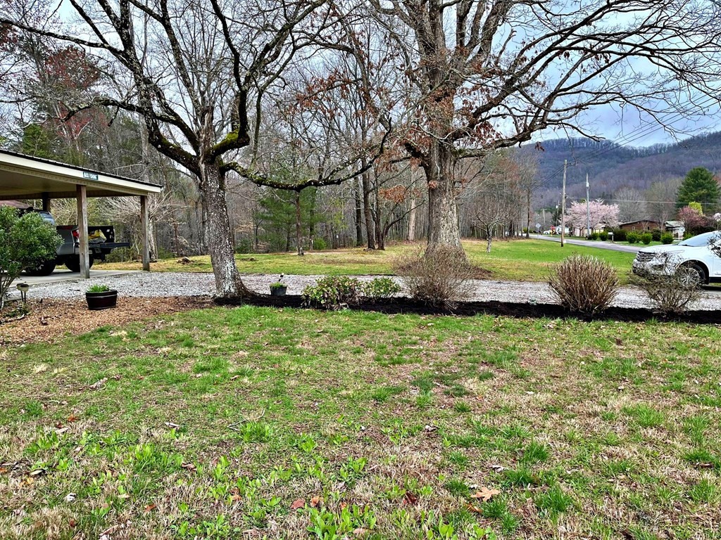 116 Upper Whetstone Road Harriman, TN 37748 - Photo 6 of 40 Gallery Image 6