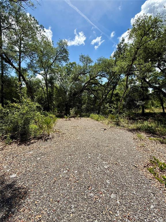 Long Circle Webster, FL 33597 - Photo 3 of 11