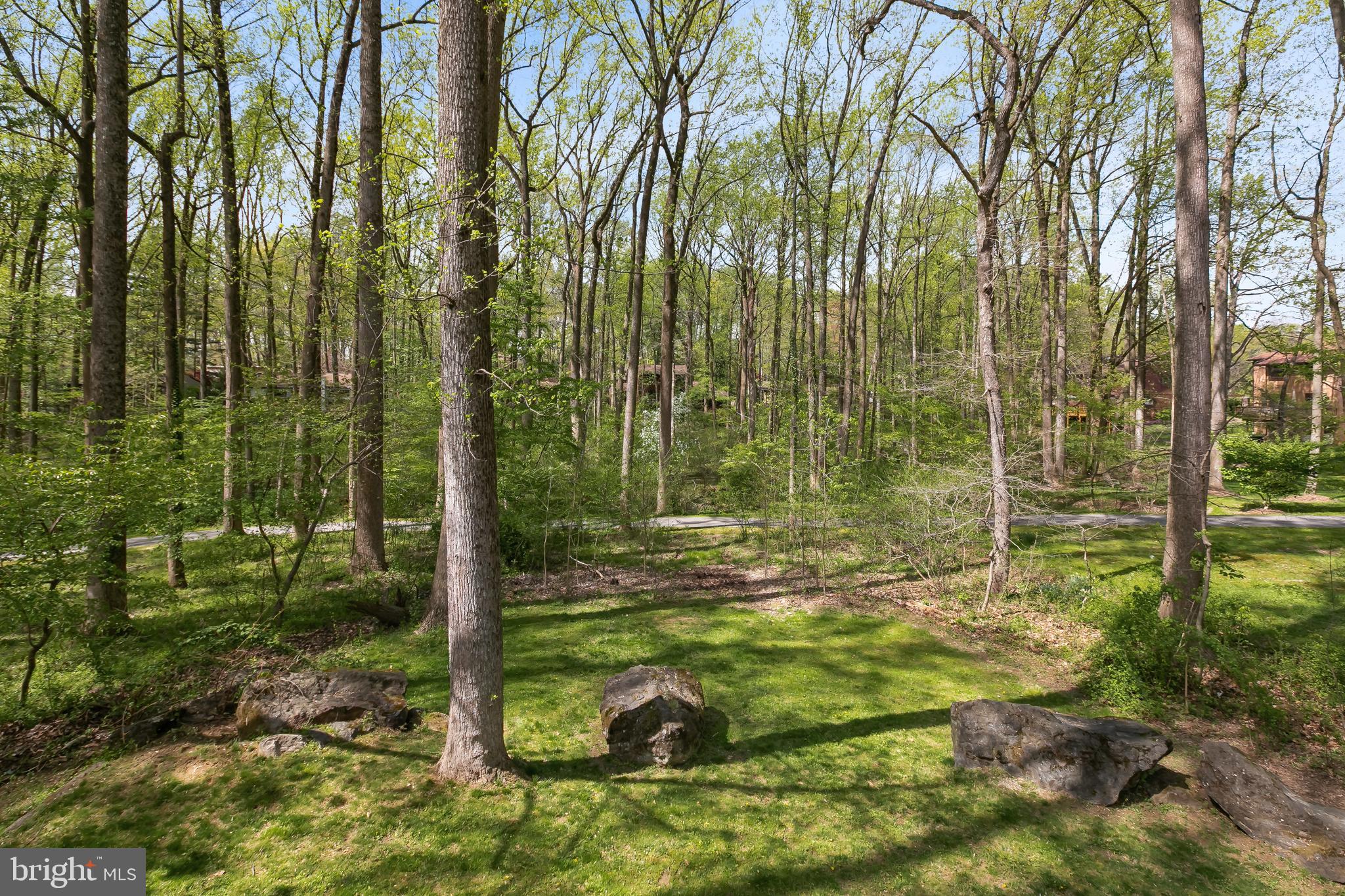 11019 Swansfield Road Columbia, MD 21044 - Photo 44 of 47 Backyard with access to walking path.