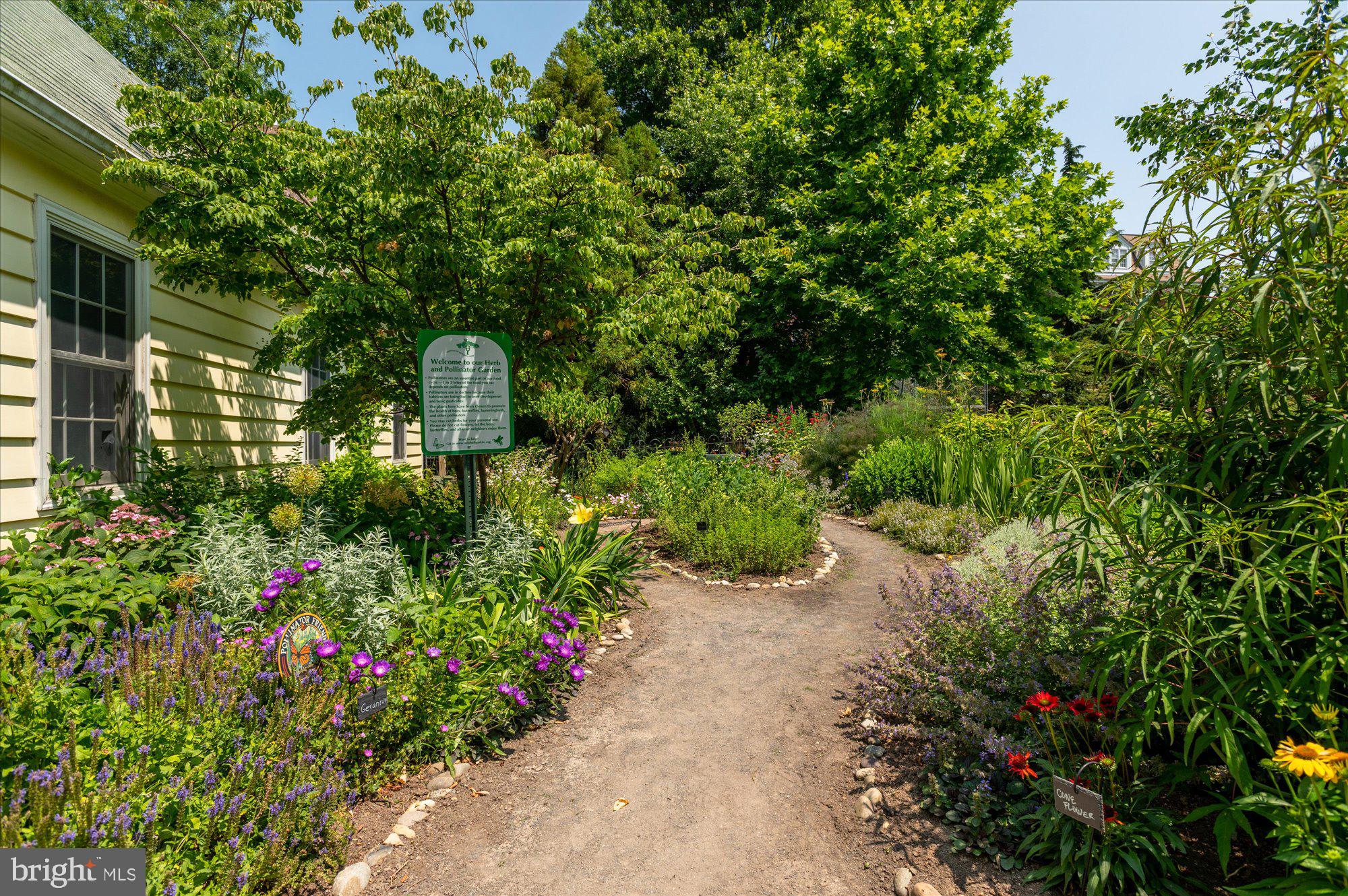 2230 California Street Northwest, Unit 4DW Washington, DC 20008 - Photo 37 of 43 a view of a garden with plants and large trees
