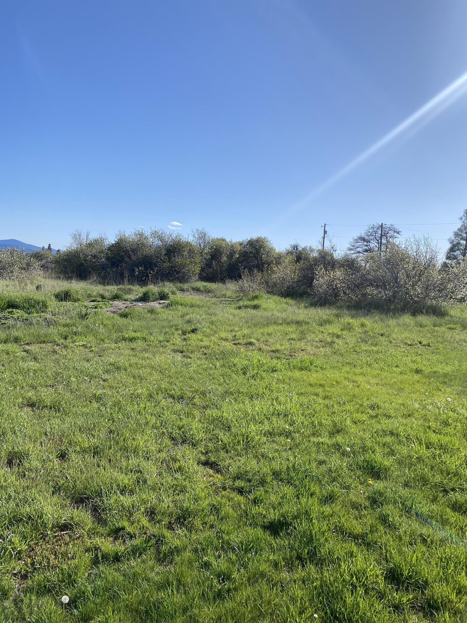 0 Meadowview Drive Chiloquin, OR 97624 - Photo 2 of 7 03