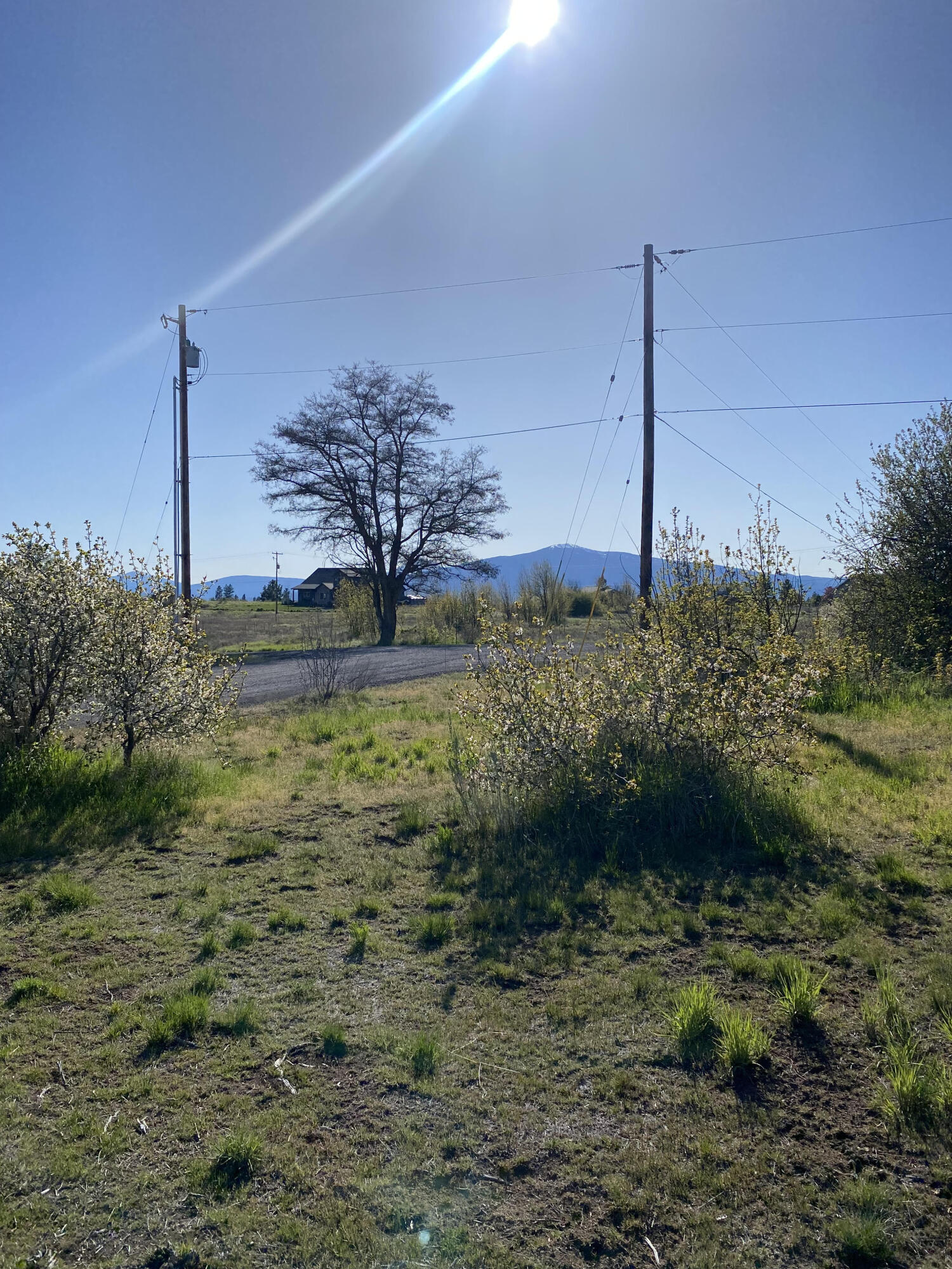0 Meadowview Drive Chiloquin, OR 97624 - Photo 3 of 7 04