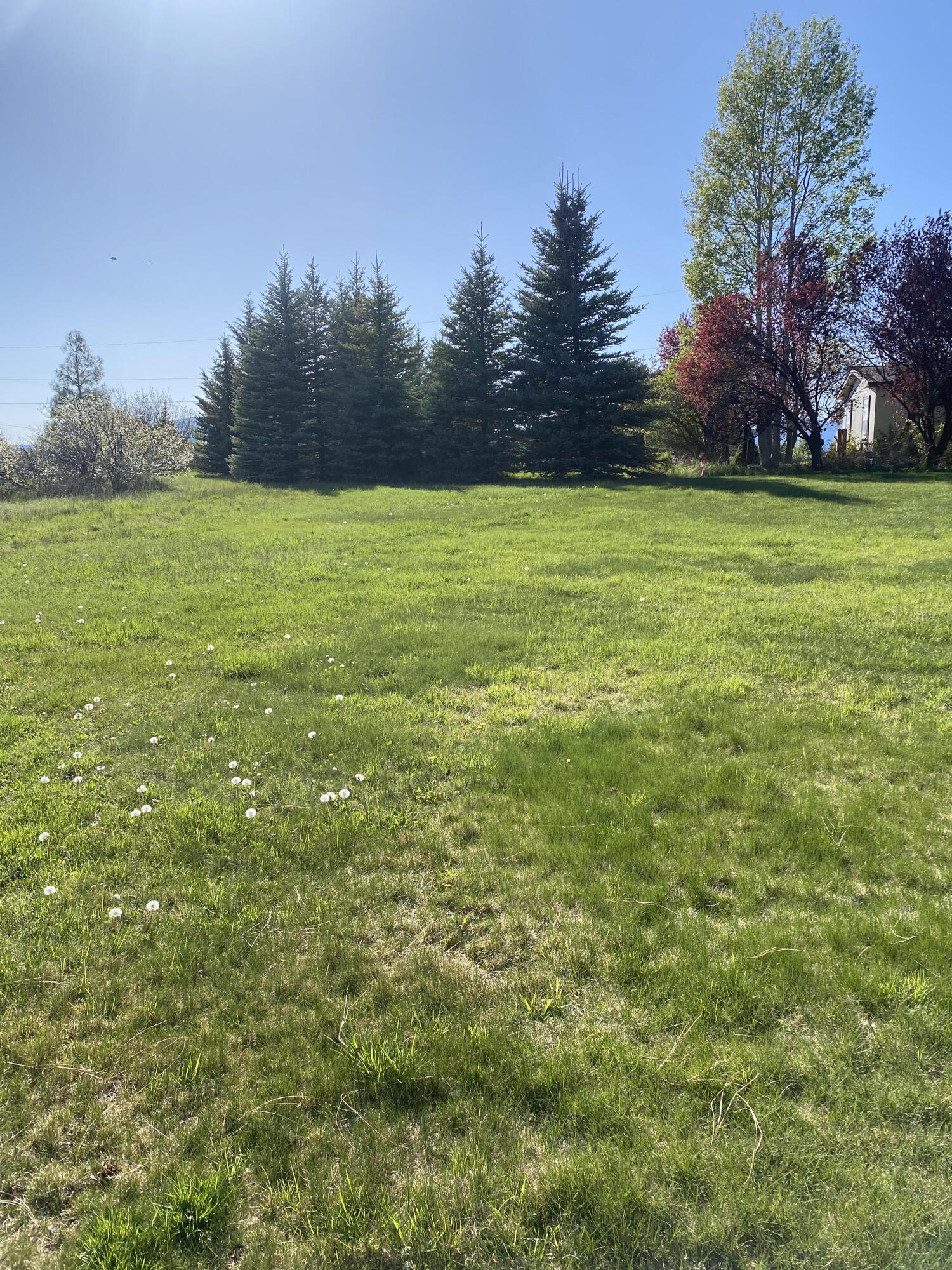 0 Meadowview Drive Chiloquin, OR 97624 - Photo 5 of 7 o1